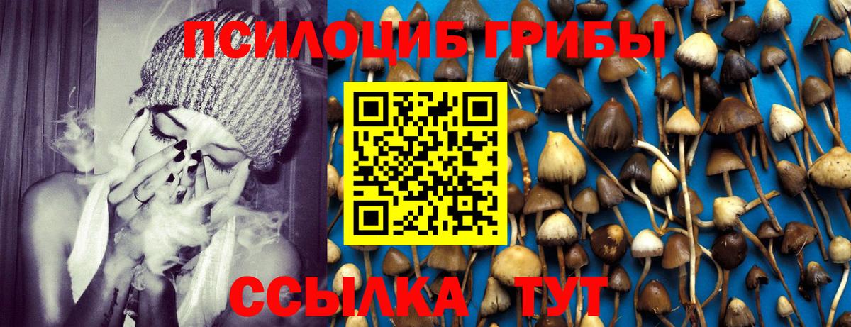 Псилоцибиновые грибы мухоморы Кашира